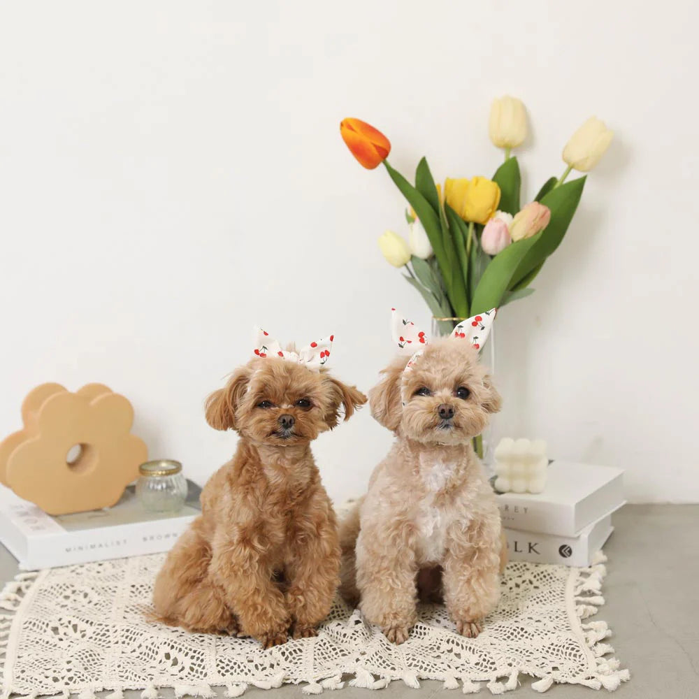 Cherry Pet Bandana
