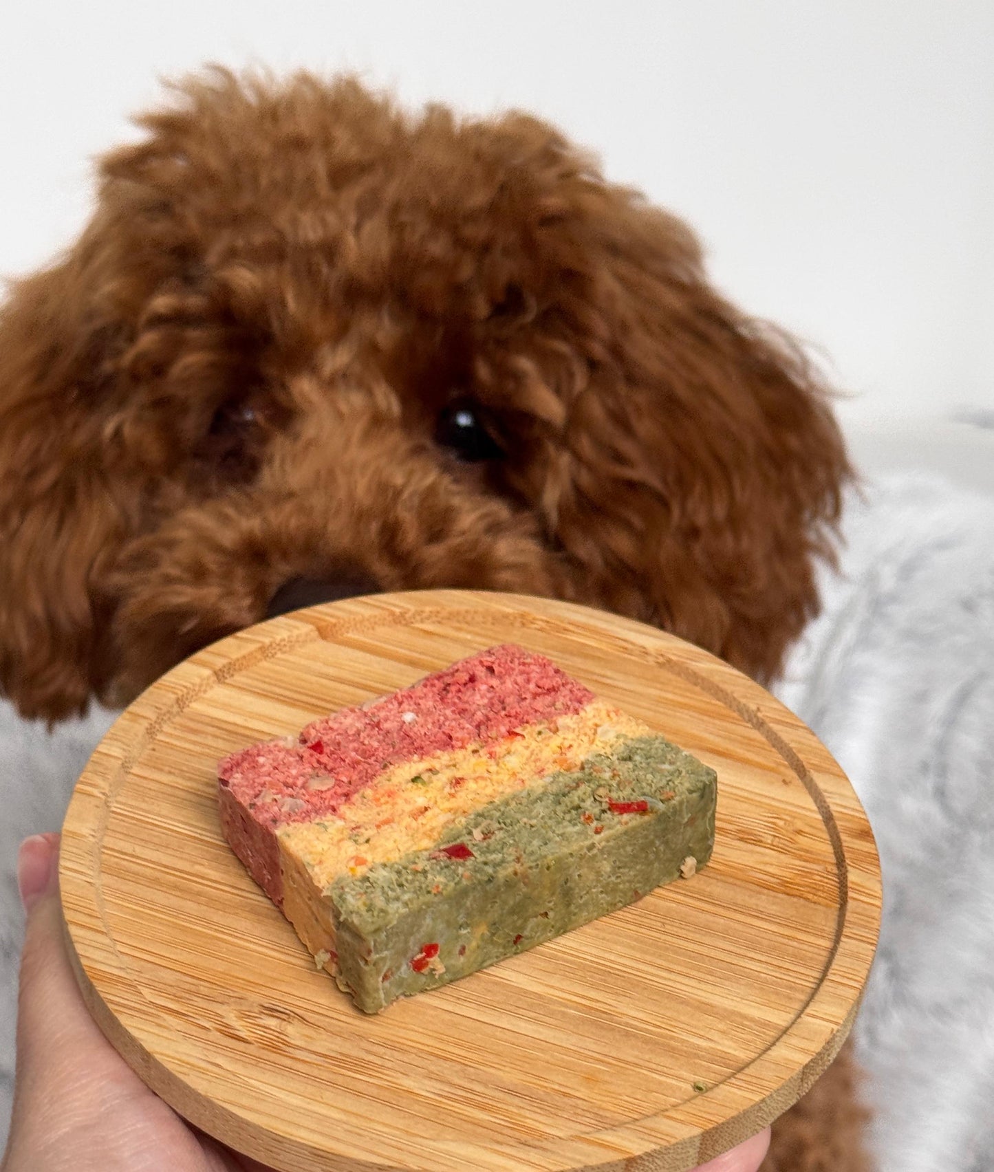 Rainbow Terrine