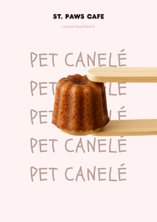 Pet Canelé